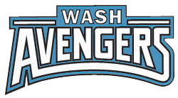 wash avengers trash can cleaning trash can cleaning near me trash bin cleaning commercial dumpster cleaning